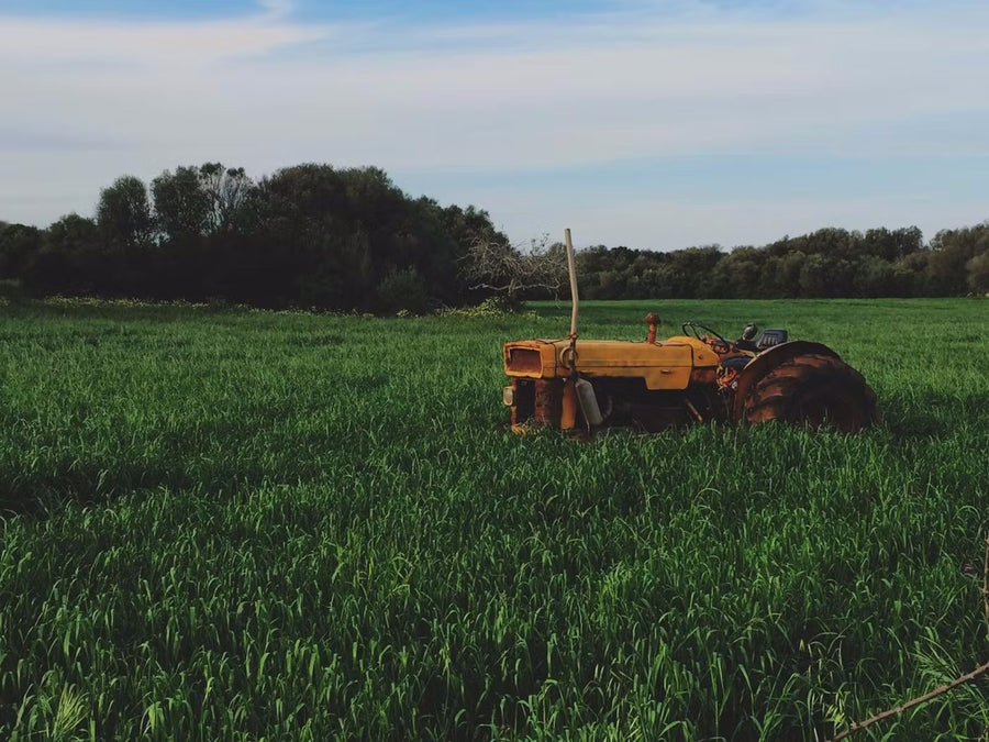 A lush green farm with a yellow tractor in the field